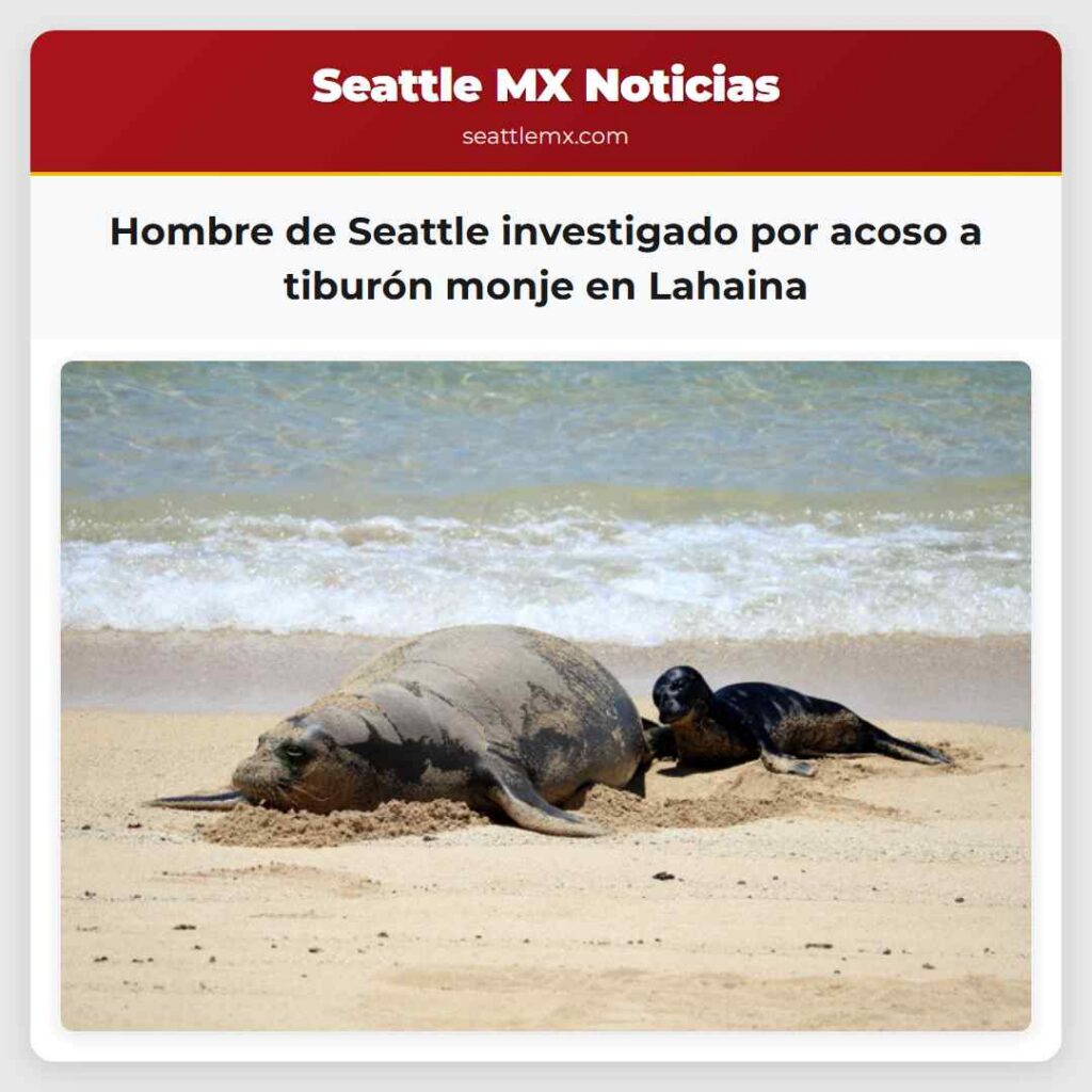 Hombre de Seattle investigado por acoso a tiburón