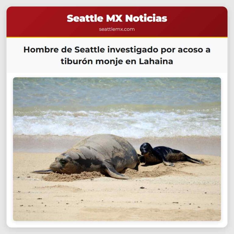 Hombre de Seattle investigado por acoso a tiburón monje en Lahaina