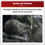 Zoológico Woodland Park recibe primer bebé gorila de dos esperados