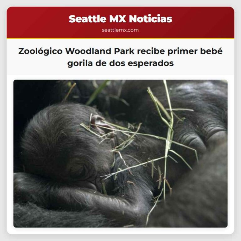 Zoológico Woodland Park recibe primer bebé gorila de dos esperados