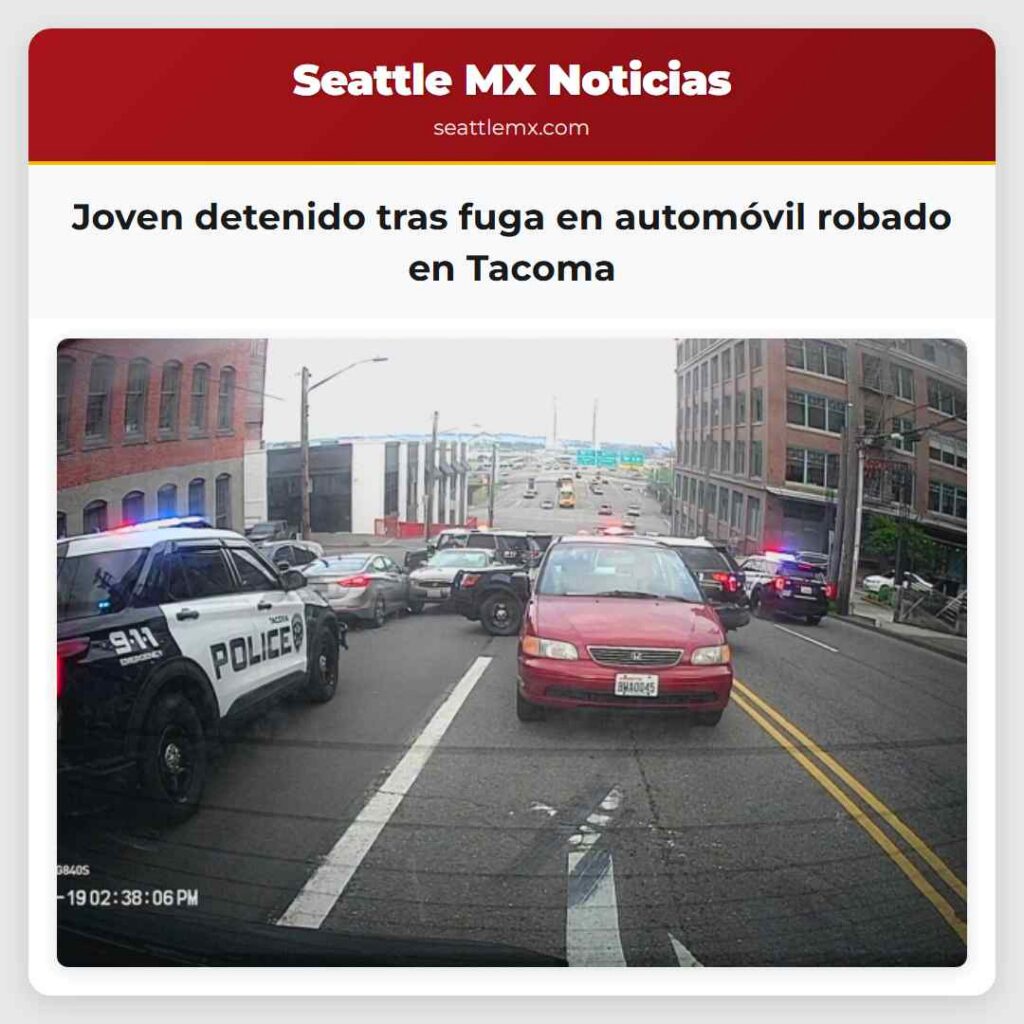 Joven detenido tras fuga en automóvil robado en