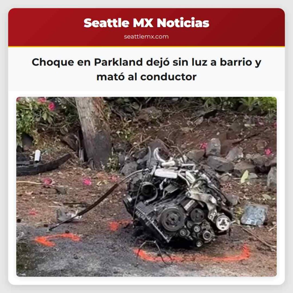 Choque en Parkland dejó sin luz a barrio y mató