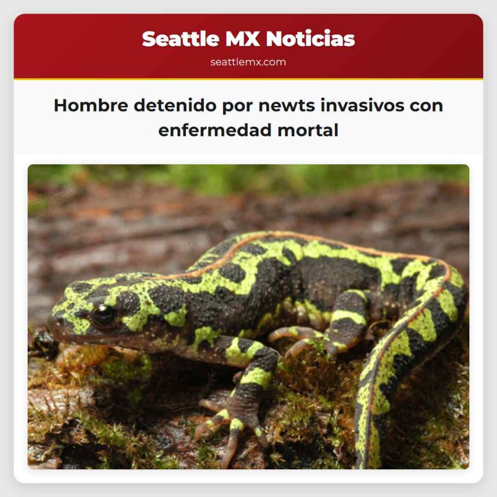 Hombre detenido por newts invasivos con