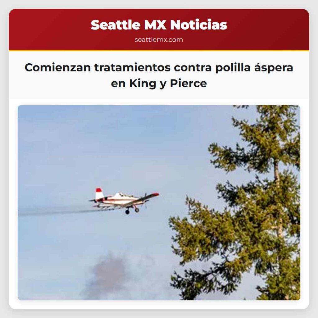 Noticias De Seattle 6 Comienzan tratamientos contra polilla áspera en