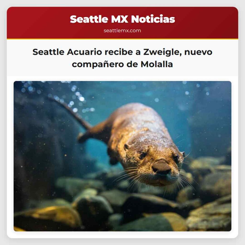 Seattle Acuario recibe a Zweigle, nuevo compañero