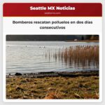 Bomberos rescatan polluelos en dos días consecutivos