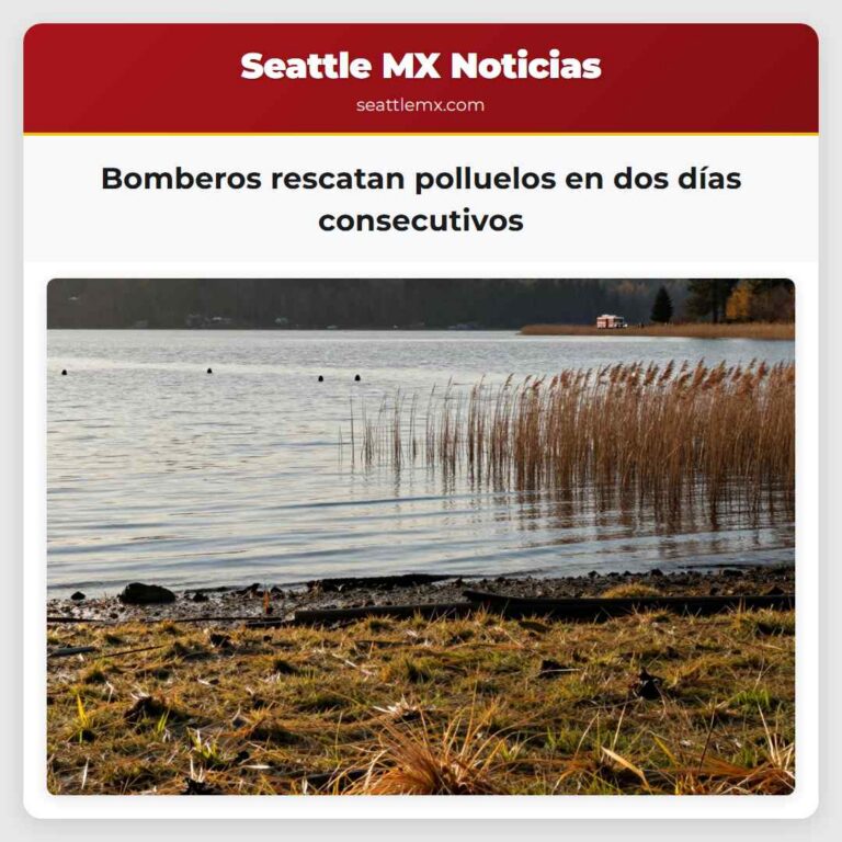 Bomberos rescatan polluelos en dos días consecutivos