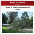 Cuidado de árboles consejos y precios variados
