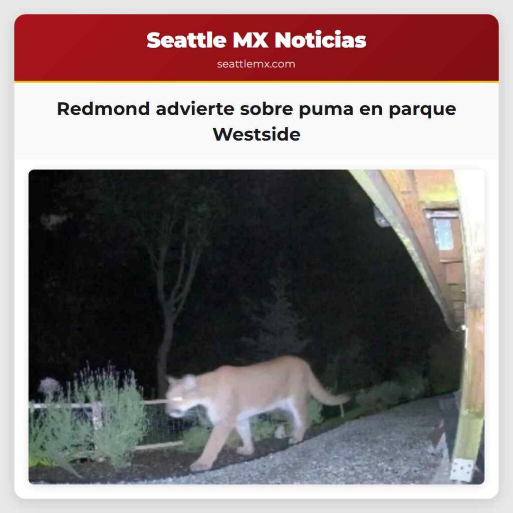 Redmond advierte sobre puma en parque Westside