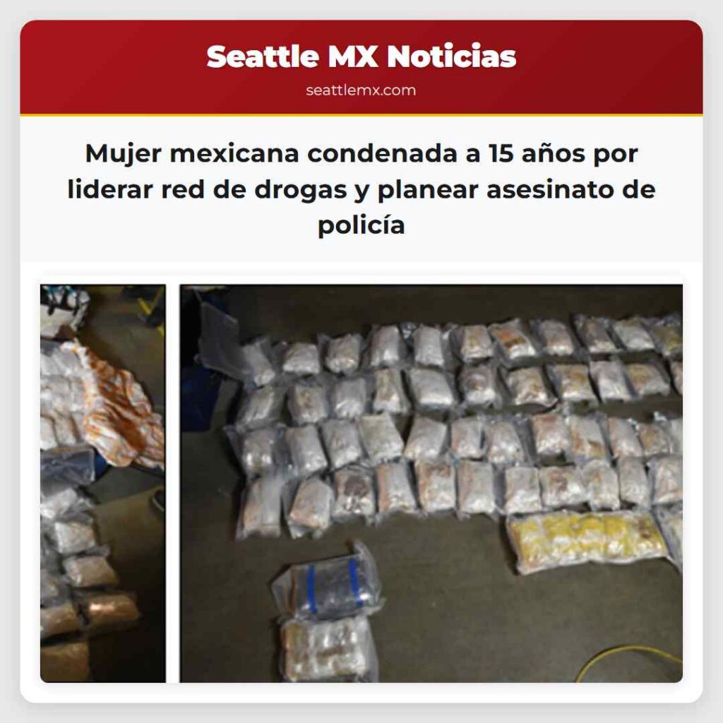 Mujer mexicana condenada a 15 años por liderar