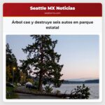 Árbol cae y destruye seis autos en parque estatal