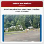 Árbol cae sobre línea eléctrica en Hoquiam causa explosión