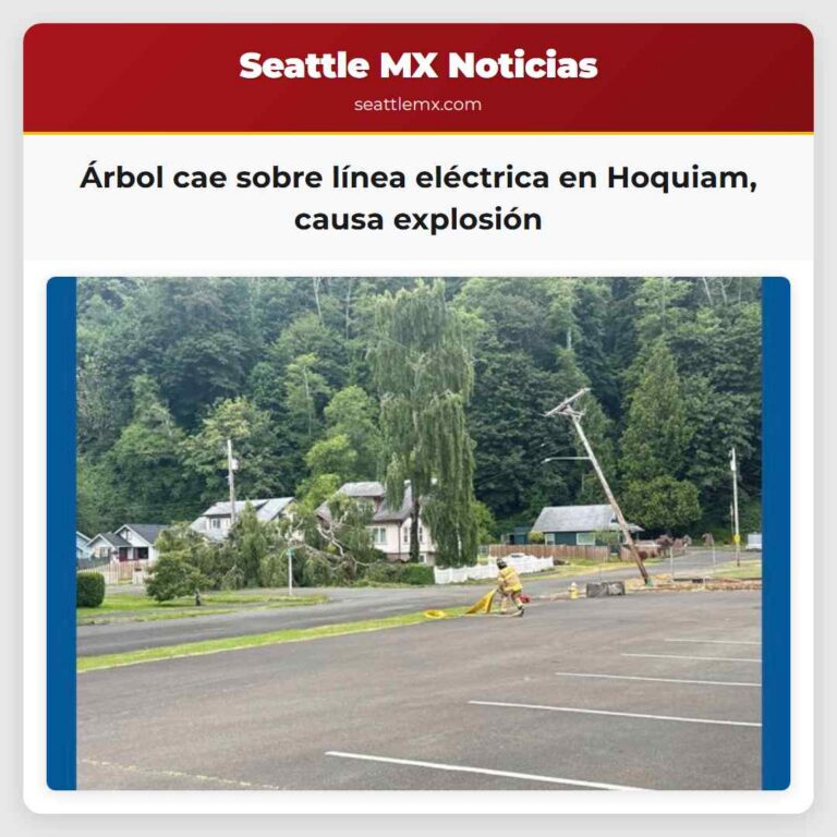 Árbol cae sobre línea eléctrica en Hoquiam causa explosión
