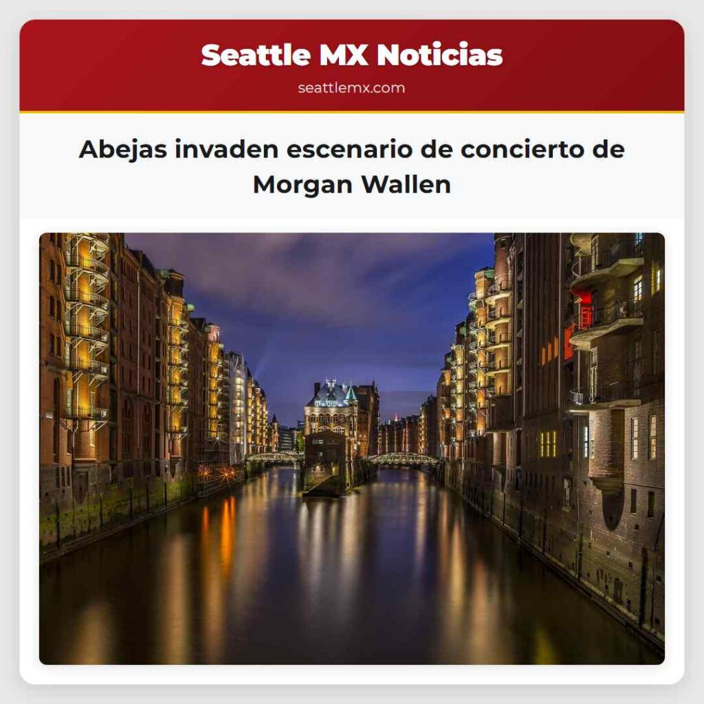 Abejas invaden escenario de concierto de Morgan