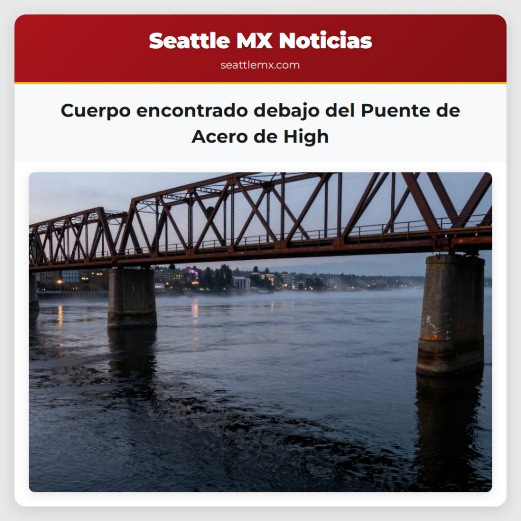 Cuerpo encontrado debajo del Puente de Acero de