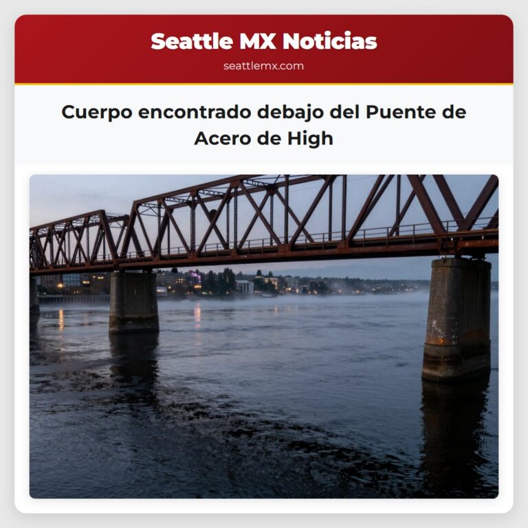 Cuerpo encontrado debajo del Puente de Acero de High
