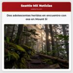 Dos adolescentes heridos en encuentro con osa en Mount Si