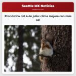 Pronóstico del 4 de julio clima mejora con más sol