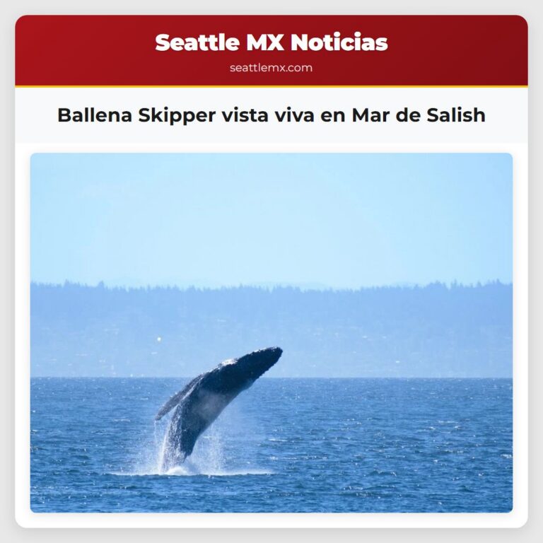 Ballena Skipper vista viva en Mar de Salish