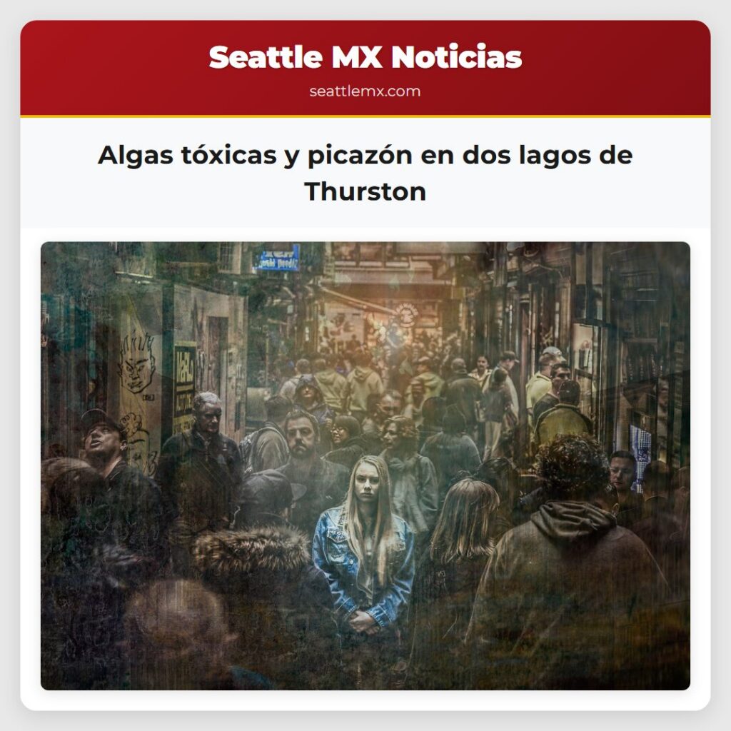Algas tóxicas y picazón en dos lagos de Thurston