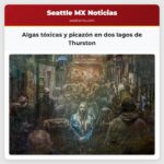 Algas tóxicas y picazón en dos lagos de Thurston