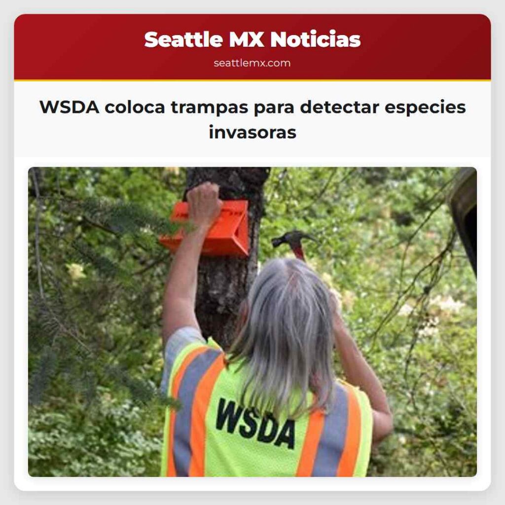 WSDA coloca trampas para detectar especies