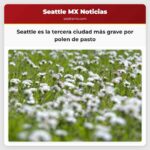 Seattle es la tercera ciudad más grave por polen de pasto
