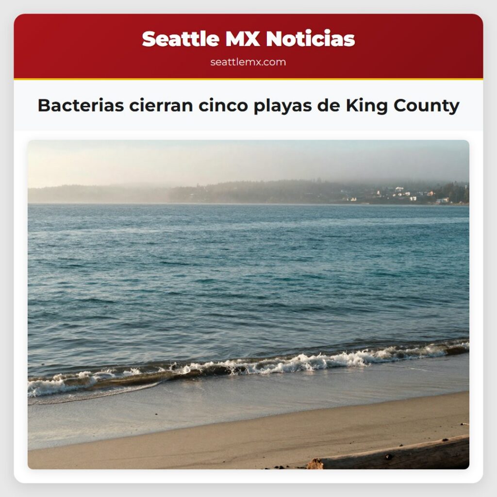 Noticias De Seattle 6 Bacterias cierran cinco playas de King County