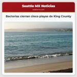 Bacterias cierran cinco playas de King County
