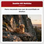 Perro rescatado tras caer de acantilado en Shelton