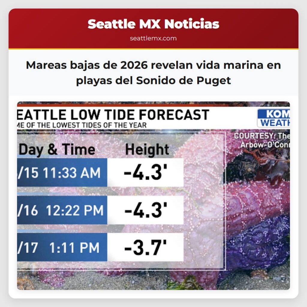 Mareas bajas de 2026 revelan vida marina en