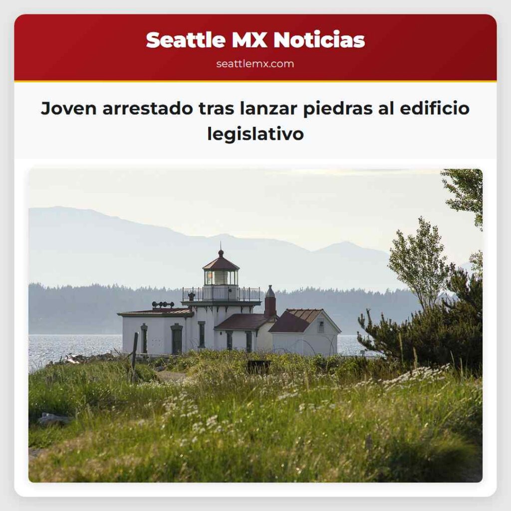 Joven arrestado tras lanzar piedras al edificio