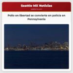 Pollo en libertad se convierte en policía en Pennsylvania