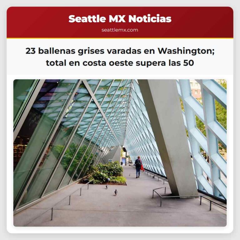 23 ballenas grises varadas en Washington total en costa oeste supera las 50