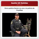 Perro policía Dexter se une a la policía de Puyallup