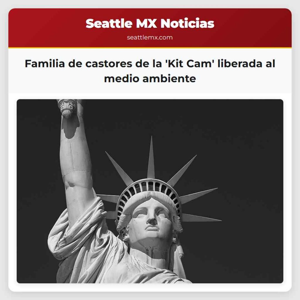 Familia de castores de la 'Kit Cam' liberada al
