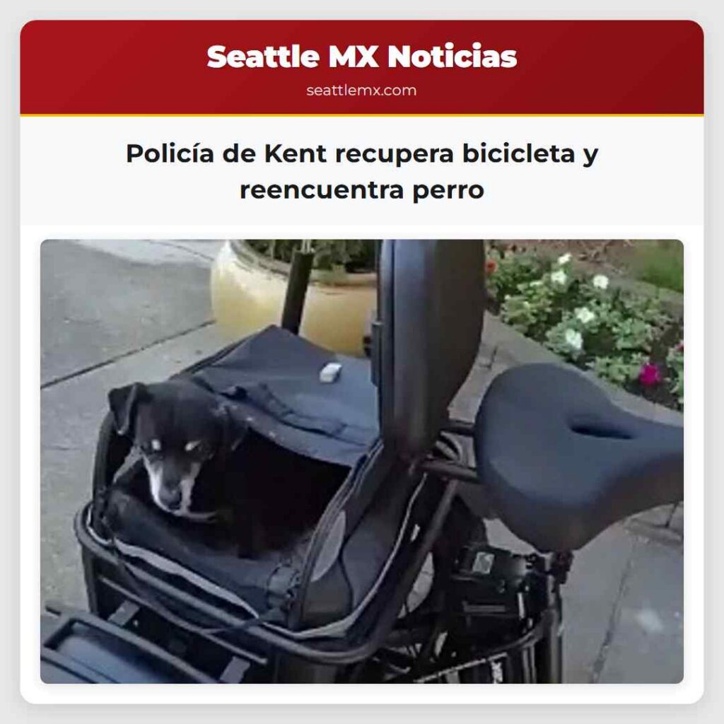 Policía de Kent recupera bicicleta y reencuentra
