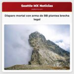 Disparo mortal con arma de BB plantea brecha legal