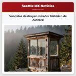Vándalos destruyen mirador histórico de Ashford