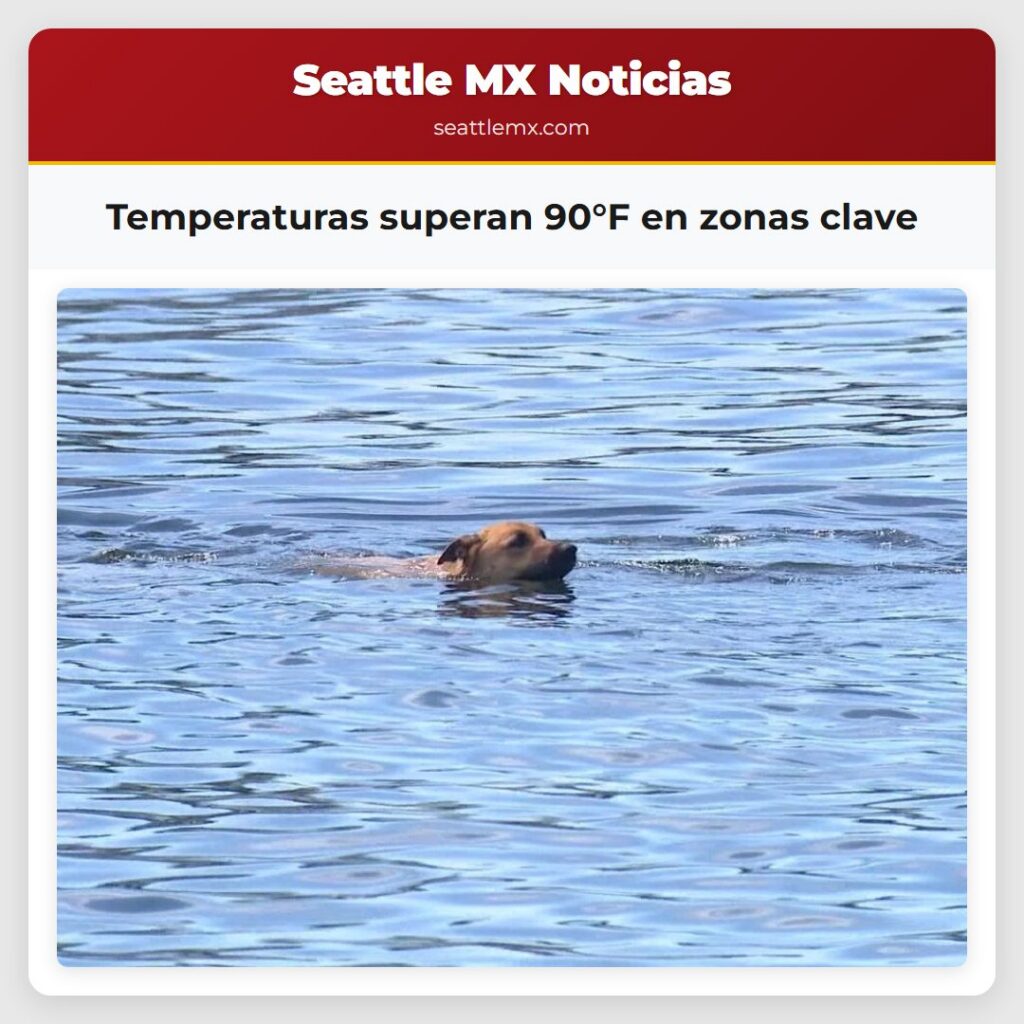 Noticias De Seattle 2 Temperaturas superan 90°F en zonas clave