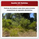 Policías de Auburn usan dron para arrestar sospechoso en agresión doméstica
