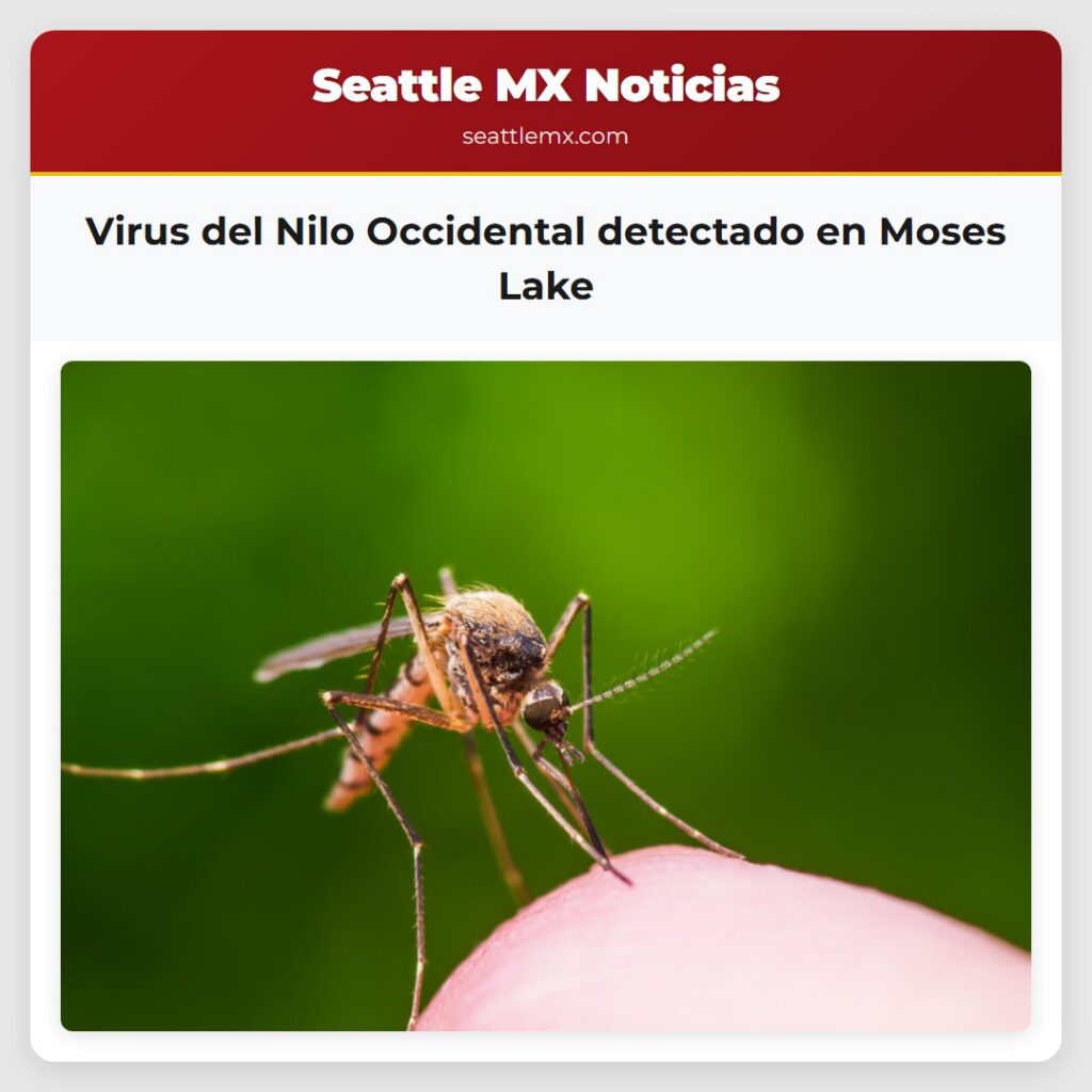 Virus del Nilo Occidental detectado en Moses Lake