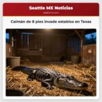 Caimán de 8 pies invade establos en Texas