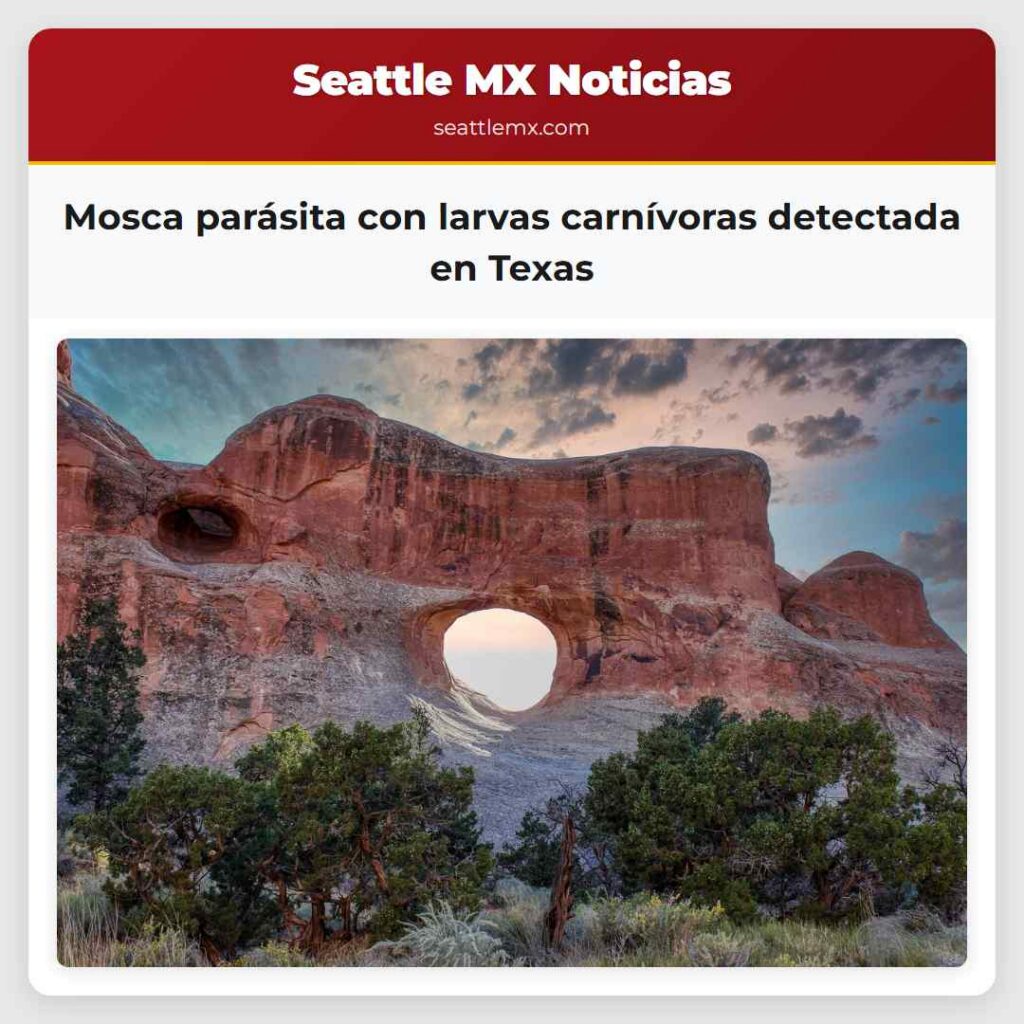 Mosca parásita con larvas carnívoras detectada en