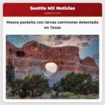 Mosca parásita con larvas carnívoras detectada en Texas