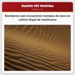 Bomberos casi encuentran trampas de osos en cultivo ilegal de marihuana