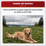 Perro de Miami se gana segunda oportunidad en Bark at the Park