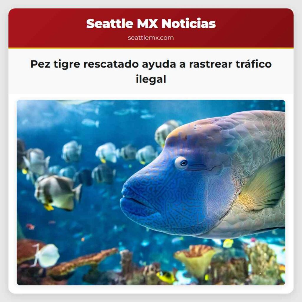 Pez tigre rescatado ayuda a rastrear tráfico