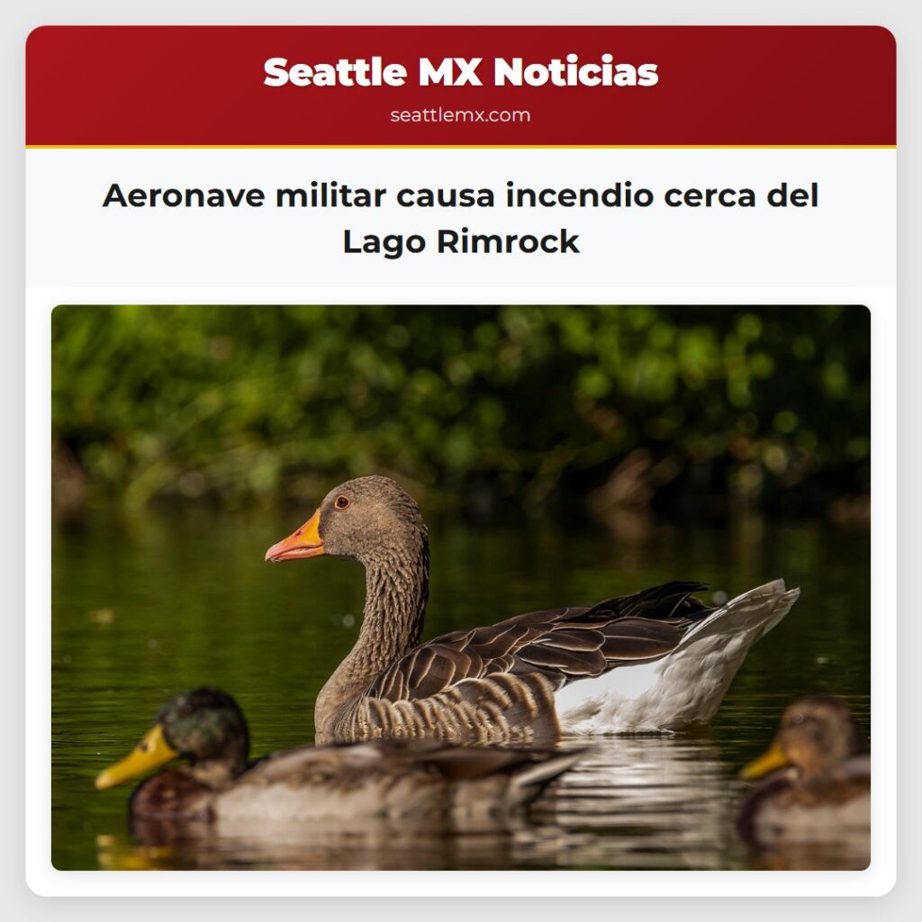 Aeronave militar causa incendio cerca del Lago
