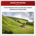 Crime Stoppers busca ayuda para resolver asesinato de Hamze Elmi